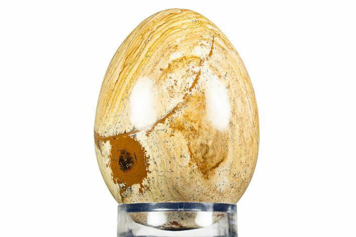 Polished Picture Stone (Jasper) Egg - South Africa #308873